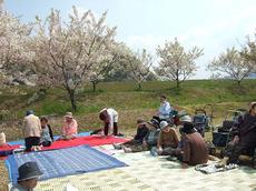 070409ikiikisaronhanami2.JPG